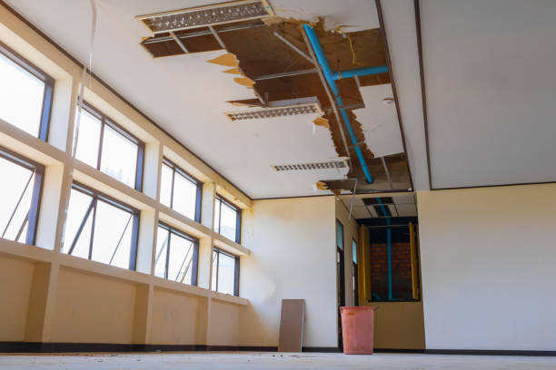 Best Ceiling water damage repair  in Mount Pleasant, TX