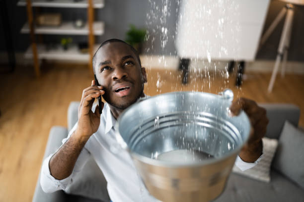 Best Flood restoration services  in Mount Pleasant, TX