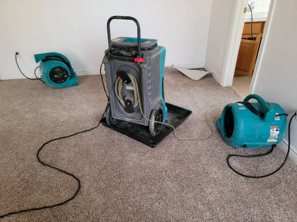 Best 24-hour water damage restoration  in Mount Pleasant, TX