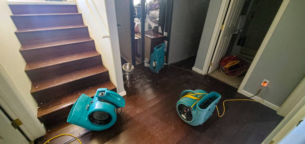 Best Emergency water damage restoration  in Mount Pleasant, TX