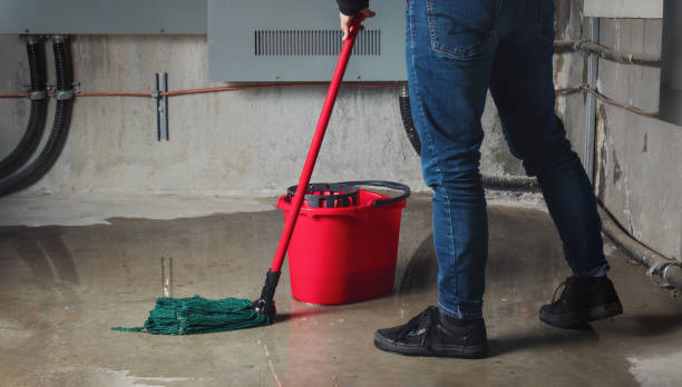 Best Sewage cleanup and water damage restoration  in Mount Pleasant, TX