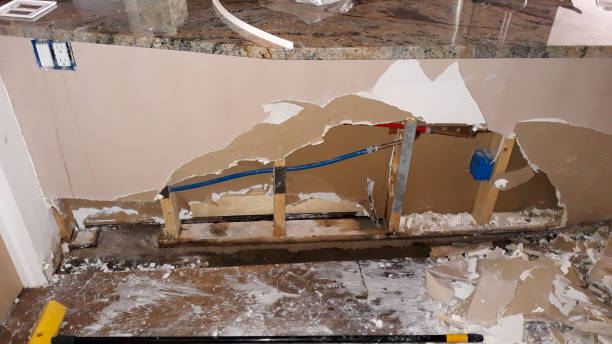 Best Ceiling water damage repair  in Mount Pleasant, TX
