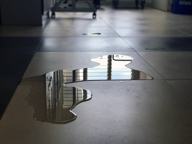 Professional Water damage restoration in Mount Pleasant, TX