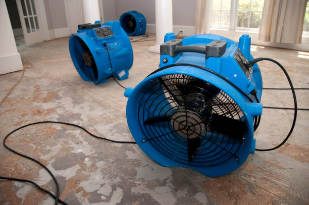  Mount Pleasant, TX Water damage restoration Pros