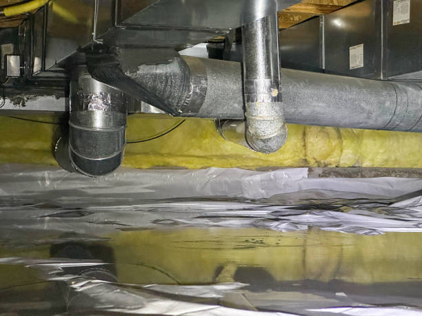 Best Professional water damage repair  in Mount Pleasant, TX